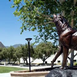 CSUSB to offer additional financial aid and more classes for students this summer
