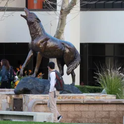 Wild Song at the SMSU