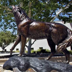 Wild Song. The university will be closed on Monday in observance of Labor Day.