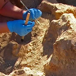 paleontology dig in New Mexico