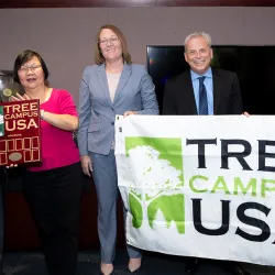  Tree Campus USA