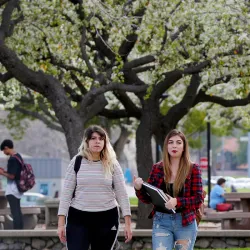 Arbor Day Foundation has named CSUSB to its Tree Campus USA program