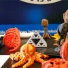3D objects printed on a 3D printer
