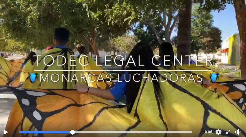 TODEC legal center - monarchas luchadoras