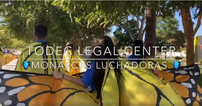 Todec Legal Center - Monarcas Luchadoras