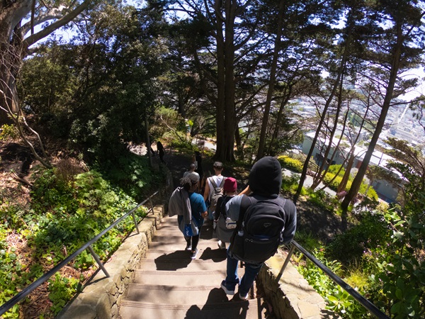 hikers on hill