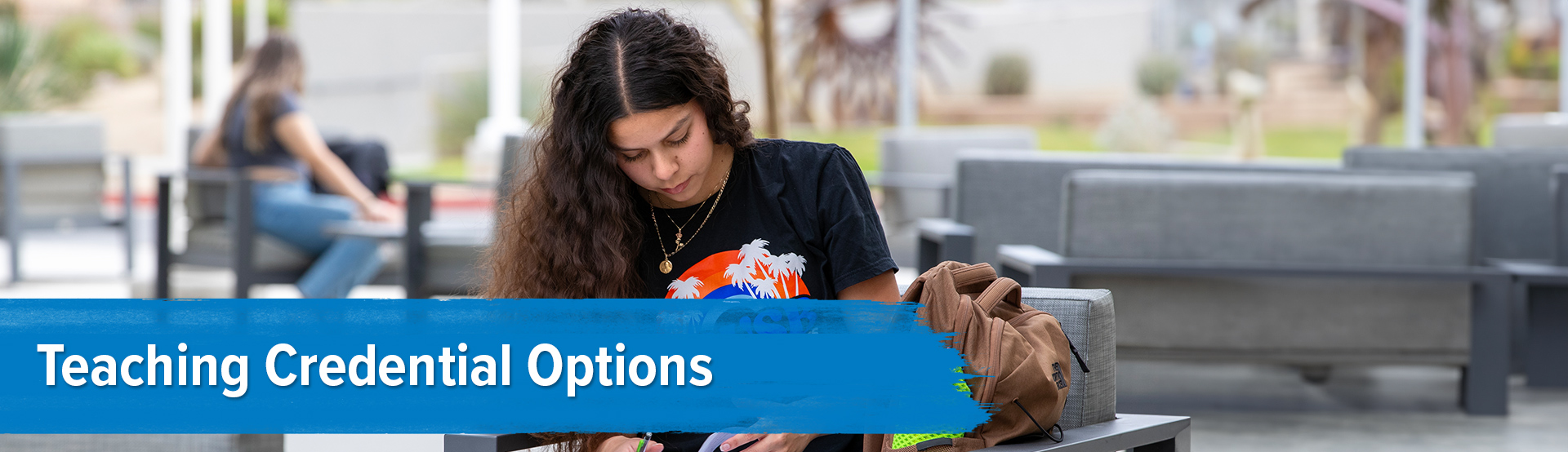 Teaching Credential Options