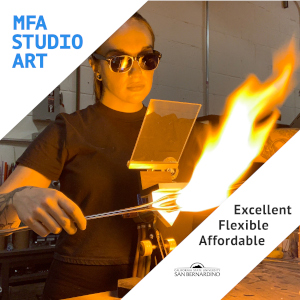MFA Studio Art Excellent. Flexible. Affordable. 