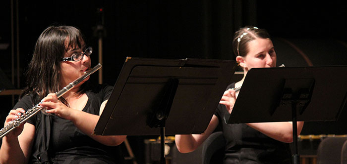 Musical Orchestra Slide 3