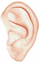 Ear To Listen Image