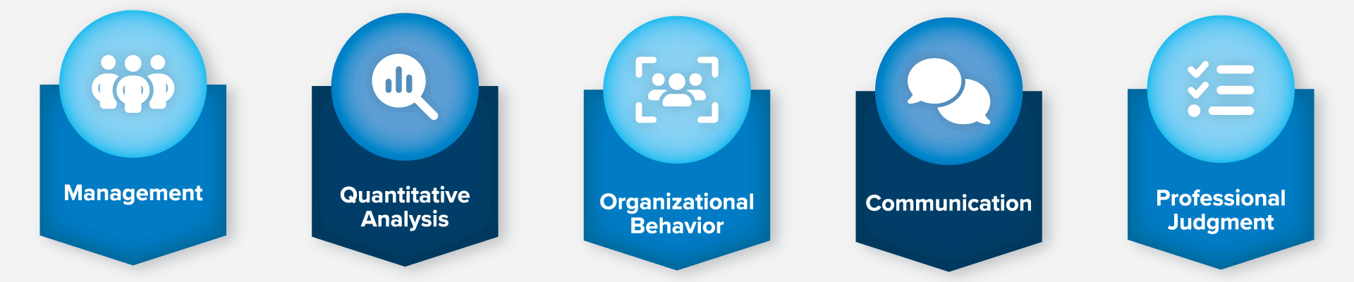Icons depicting business skills learned in the online degree program