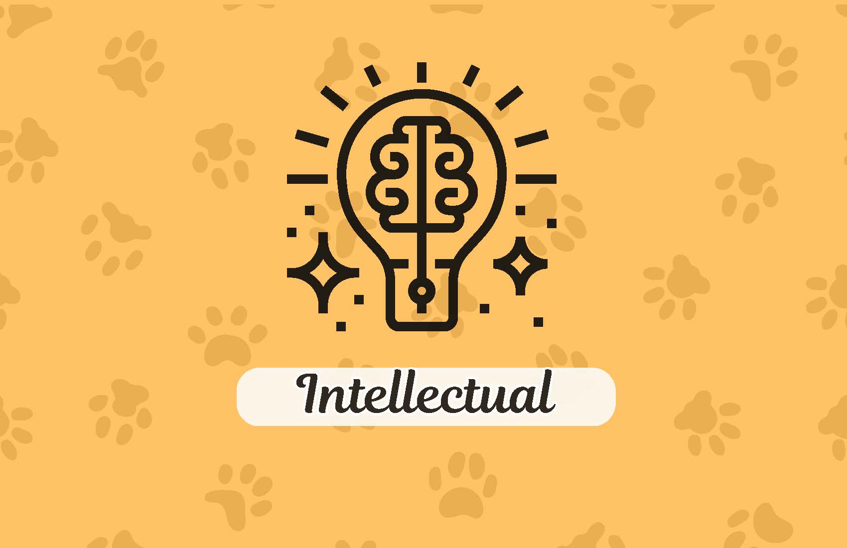 icon of lightbulb