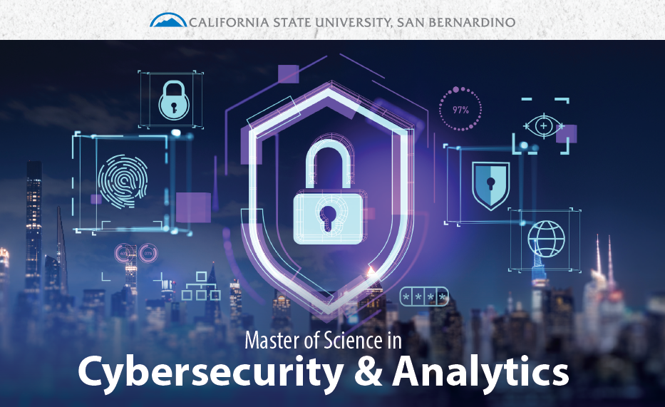cyber security locks etc.