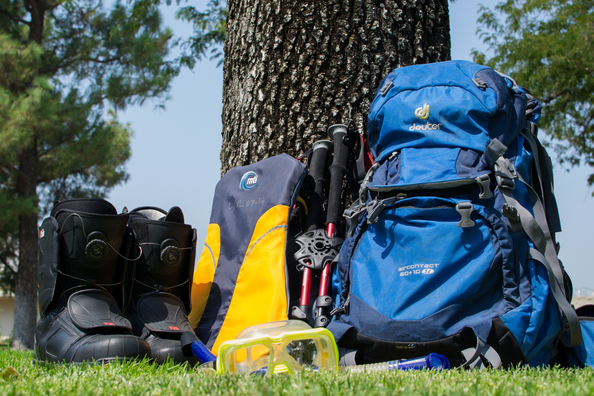 Backpack on grass by tree
