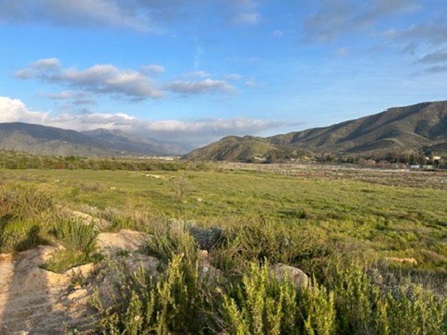 Sunrise Ranch Restoration Site, Inland Empire