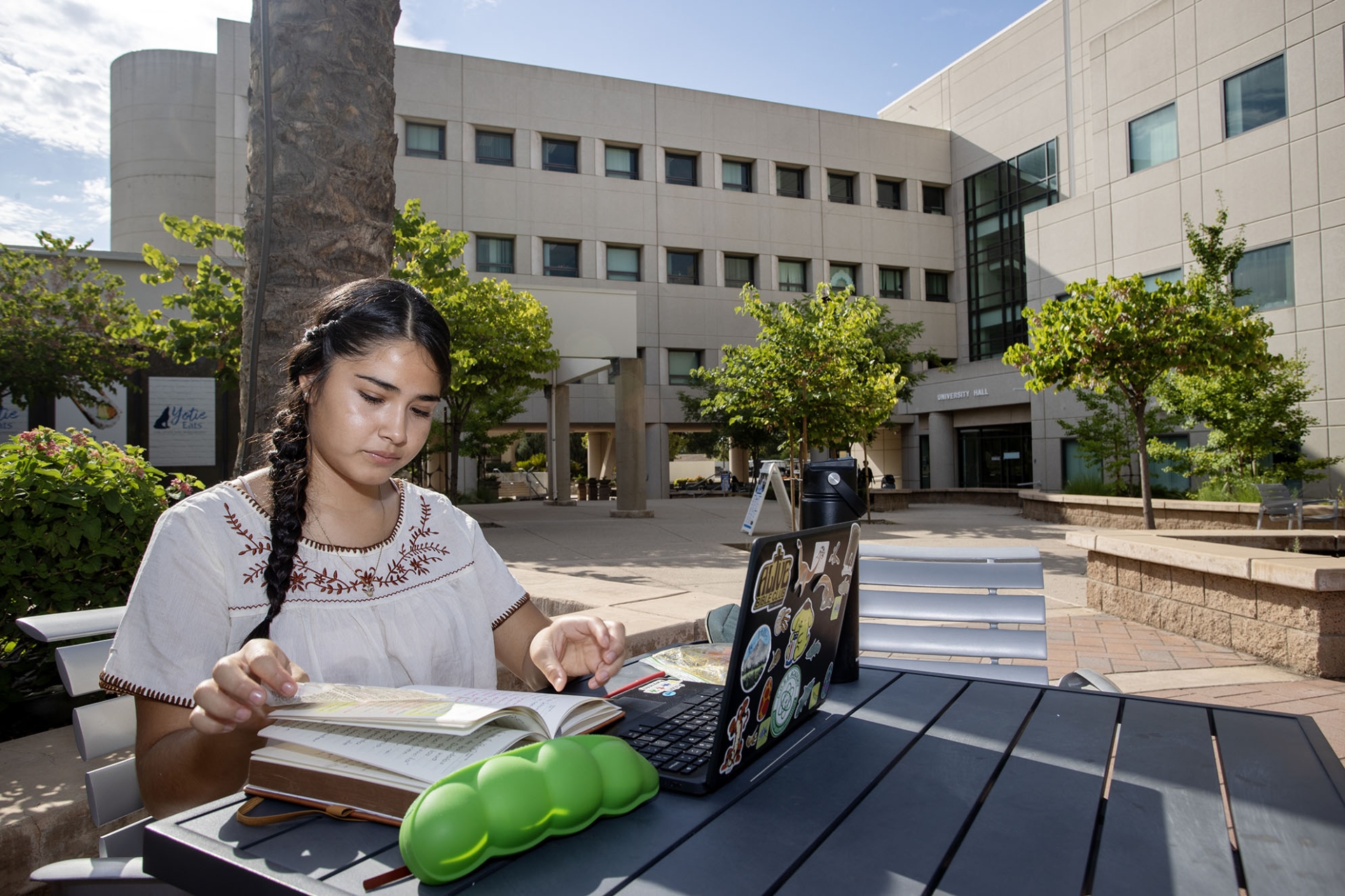 A student takes an early morning study break outside University Hall.