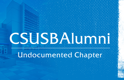 Undocumented Chapter