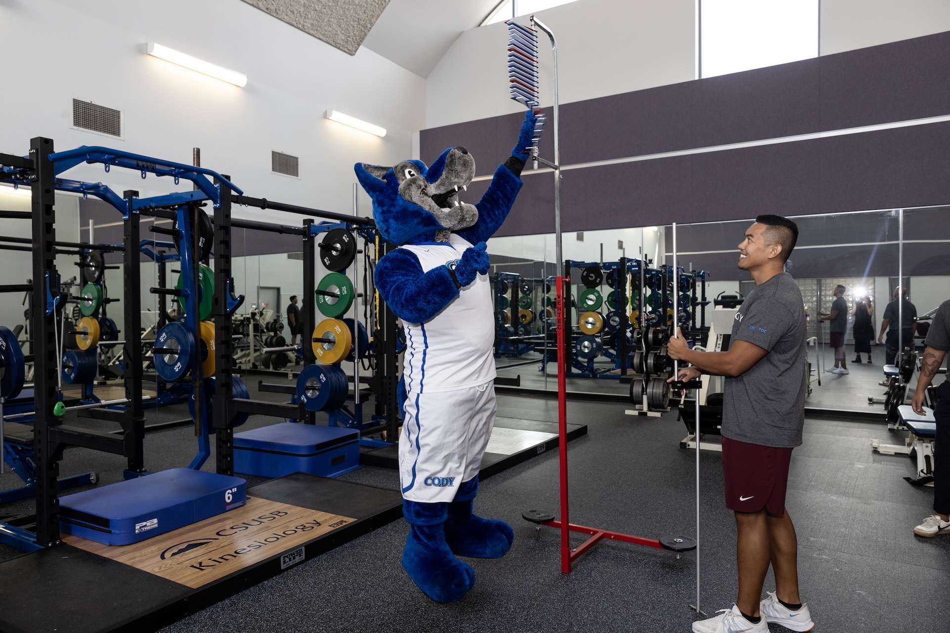 strength and conditioning lab