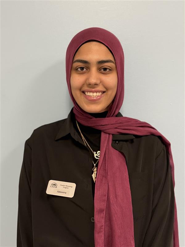 Ameera  Hasan