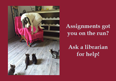 Assignments got you on the run? Ask a librarian for help!