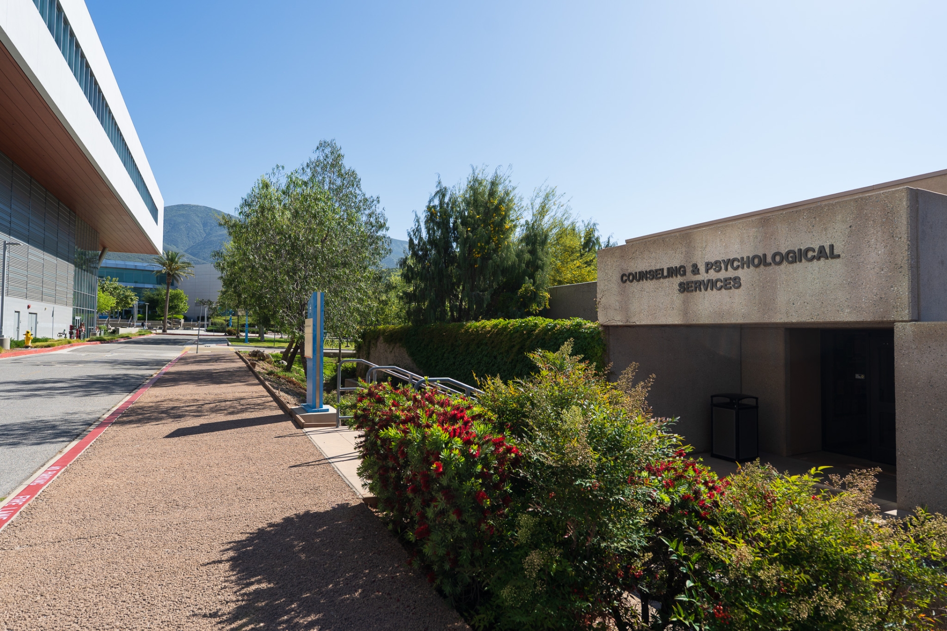 A straight, paved walkway extending into the distance, bordered by trees and a building that says "Counseling & Psychological Services", ideal for walks.