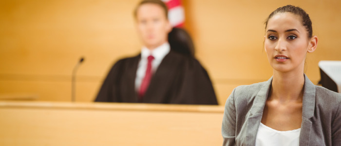 Court Interpreter
