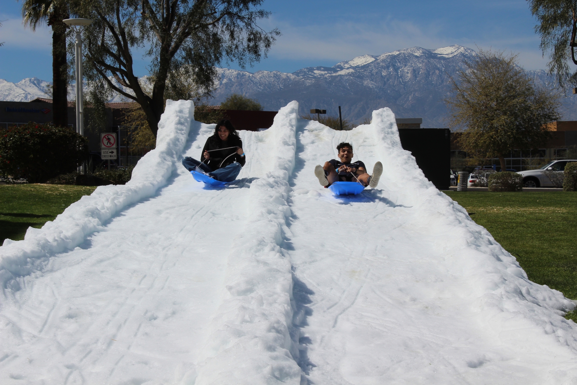 Snow Day at PDC