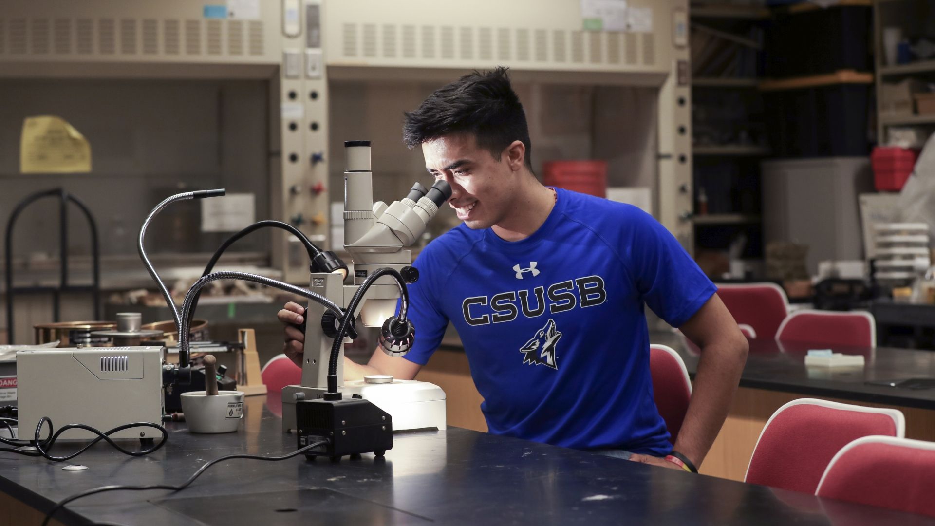 CSUSB Student looking through microscope