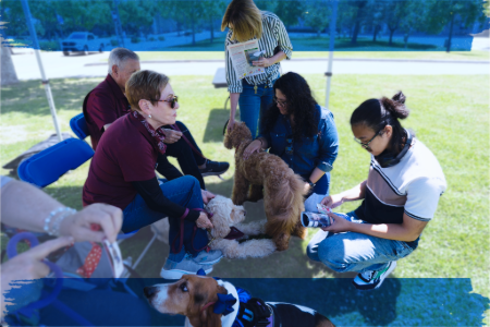 People gather under a tent on a sunny day, petting dogs. The mood is relaxed and friendly, set in a grassy lawn with trees in the background.