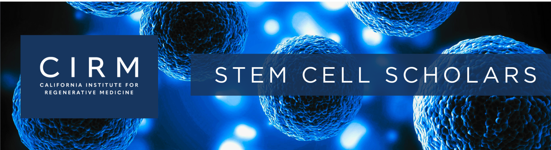 CIRM Bridges to Stem Cell Research Scholars Internship Program ...