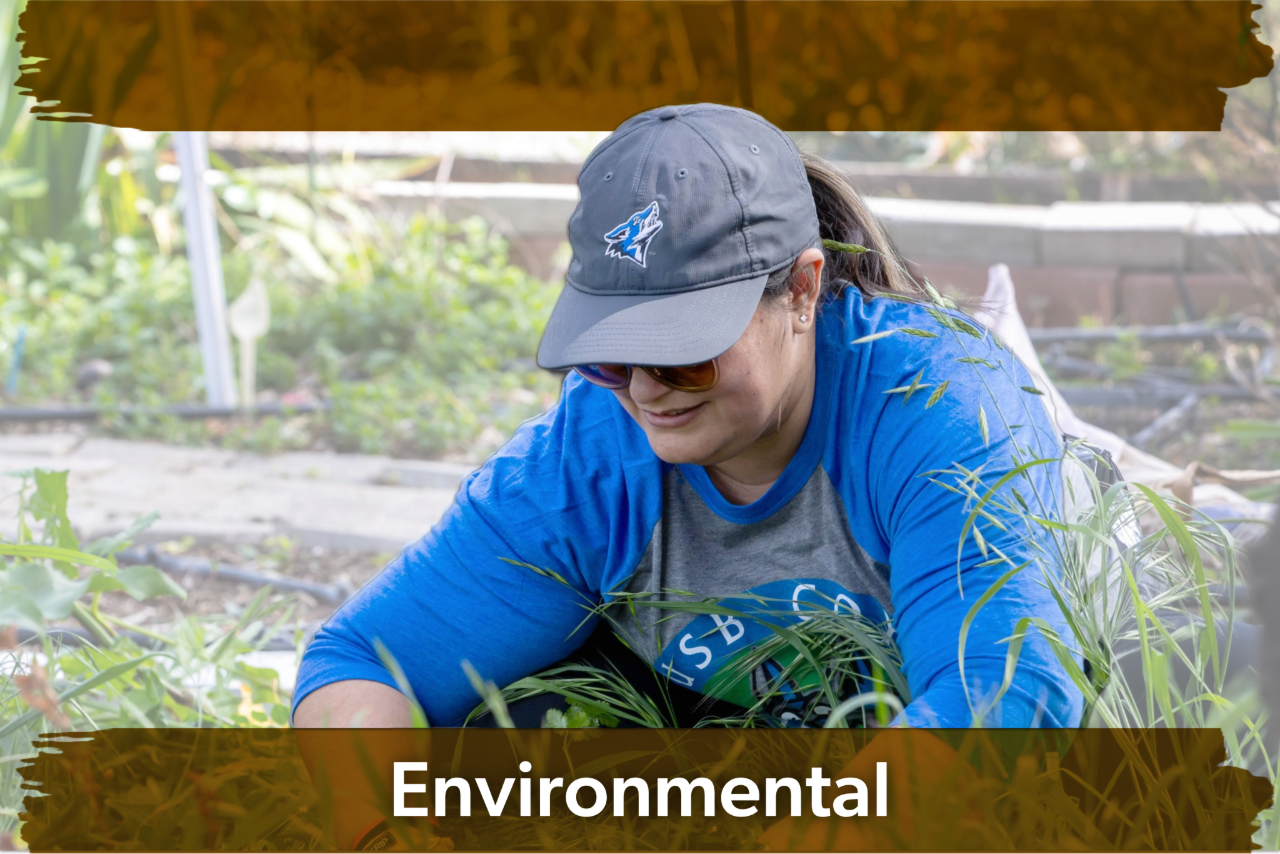 A person smiles while gardening, wearing a blue shirt, cap, and sunglasses. They are surrounded by green plants, conveying a peaceful, environmental theme.
