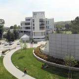 College of Social & Behavioral Sciences