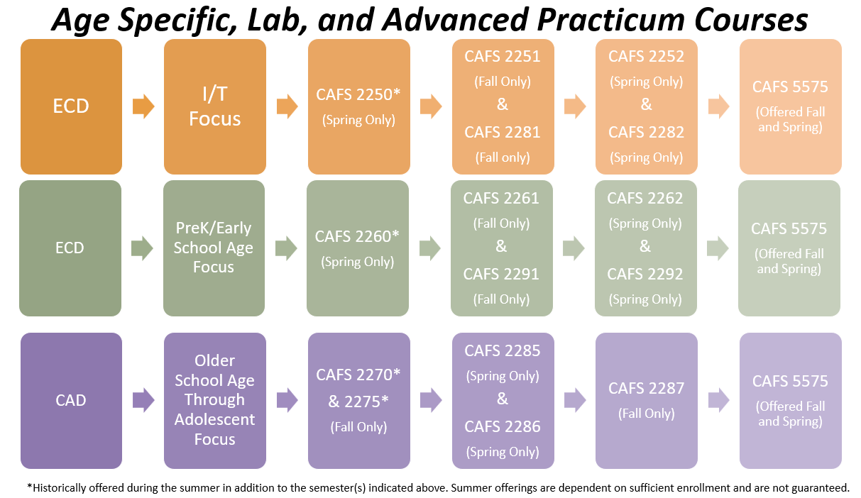 Course Progression for Developmental Period, Interactions, Curriculum, and Advanced Practicum Courses