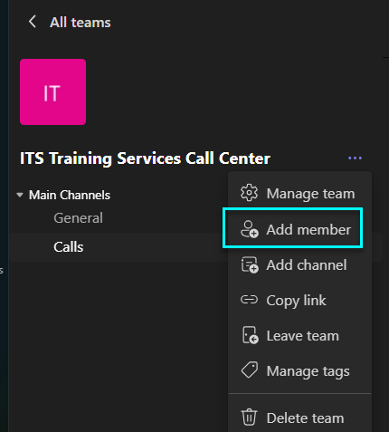 Microsoft Teams Add Member screenshot