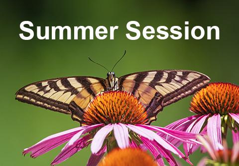 Summer Session