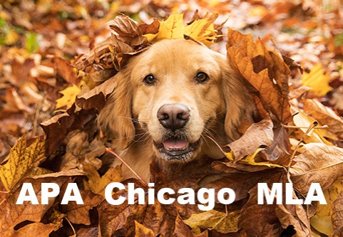 APA Chicago MLA