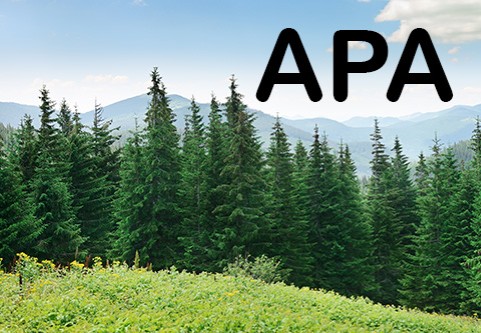 APA.  A hillside with a pine forest and distant mountains.