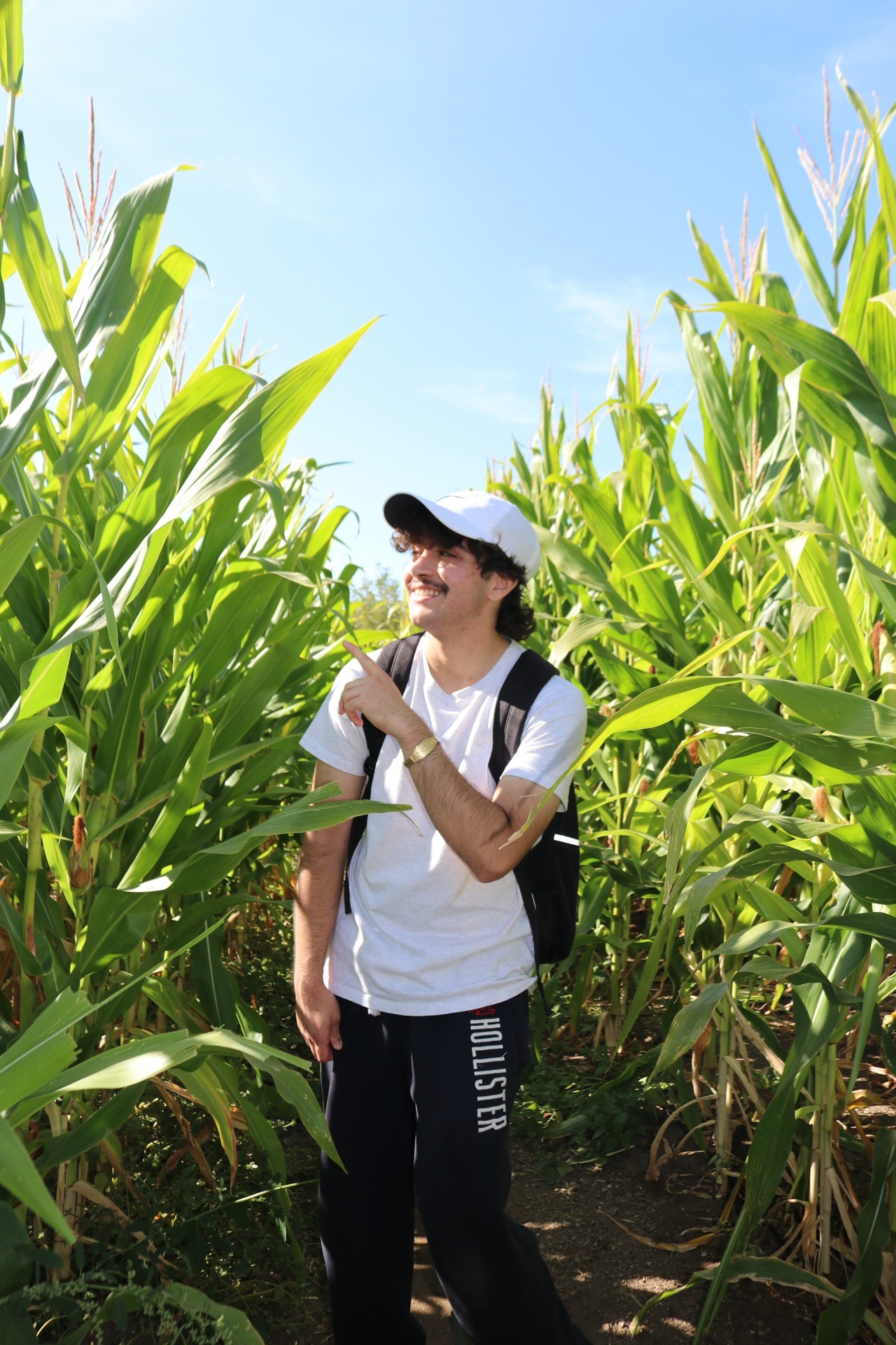 man in corn maze pointing at corn