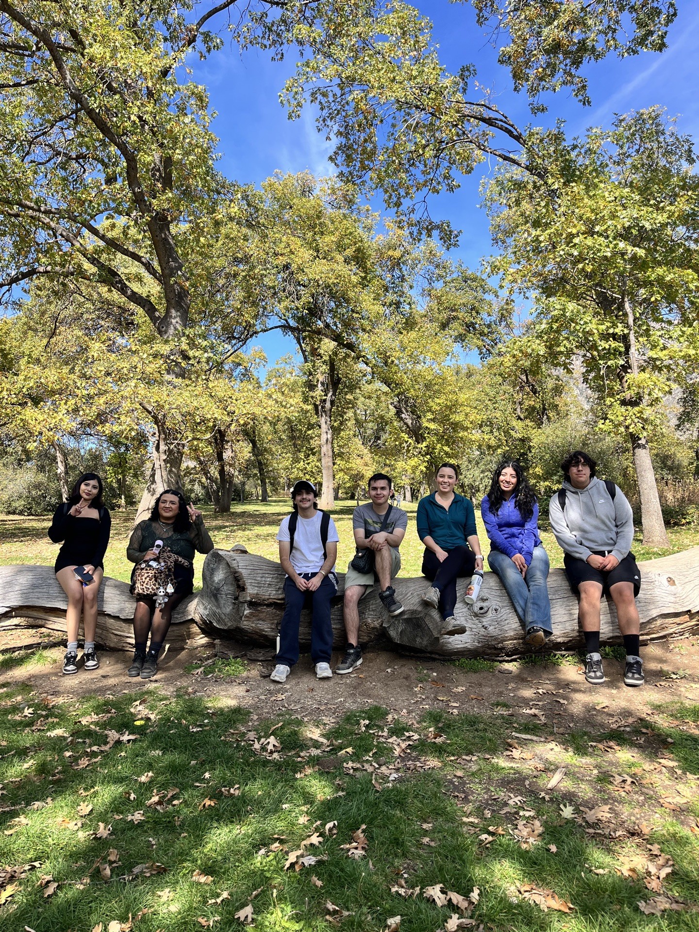 group sitting on log under oak trees