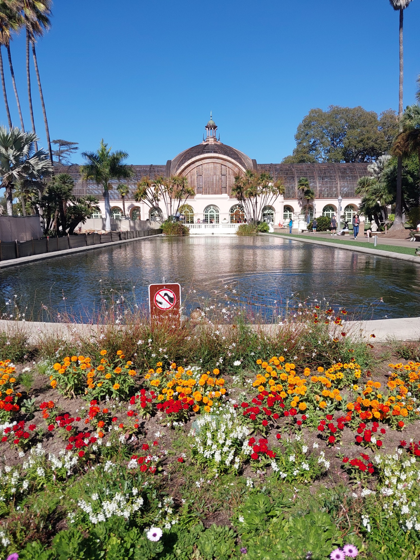garden and grenhouse