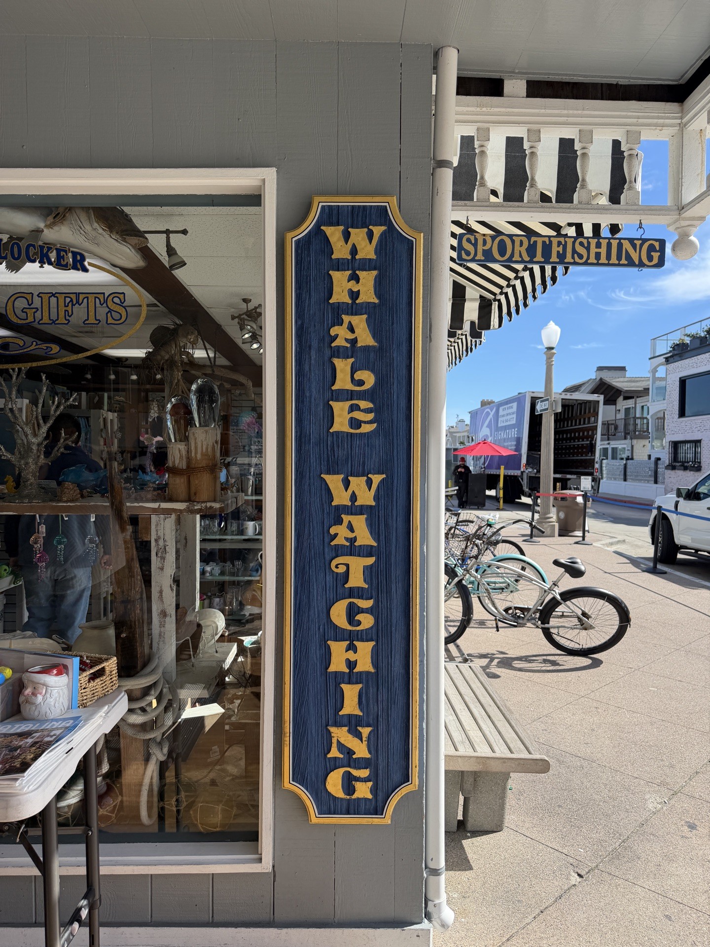 whale watching sign on building