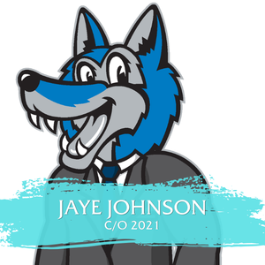 Jaye Johnson