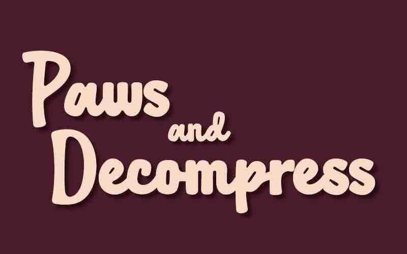 A minimalist graphic reading “Pause and Decompress” in soft cream-colored script on a dark burgundy background.