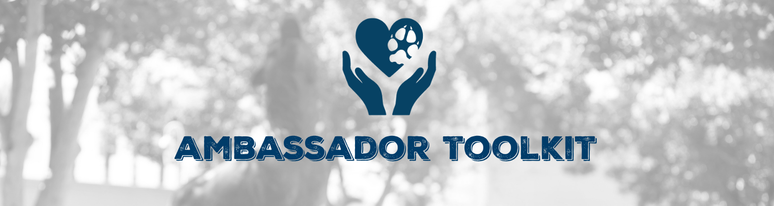 Ambassador Toolkit Graphic