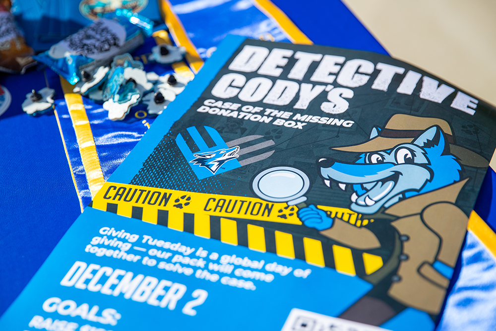 image of campaign flyer