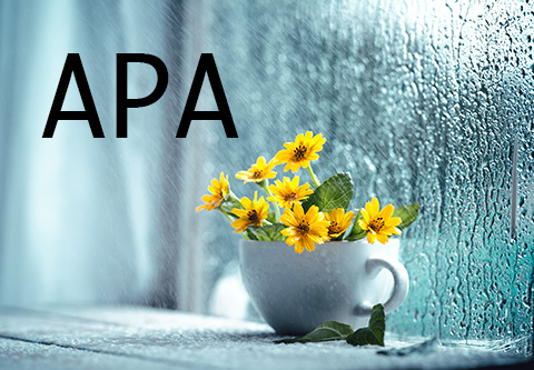 APA.  Little yellow flowers in a white teacup by a window streaked with rain.