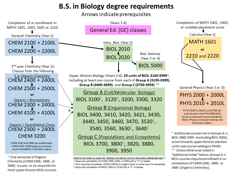 Flowchart of course requirements for Biology BS major.