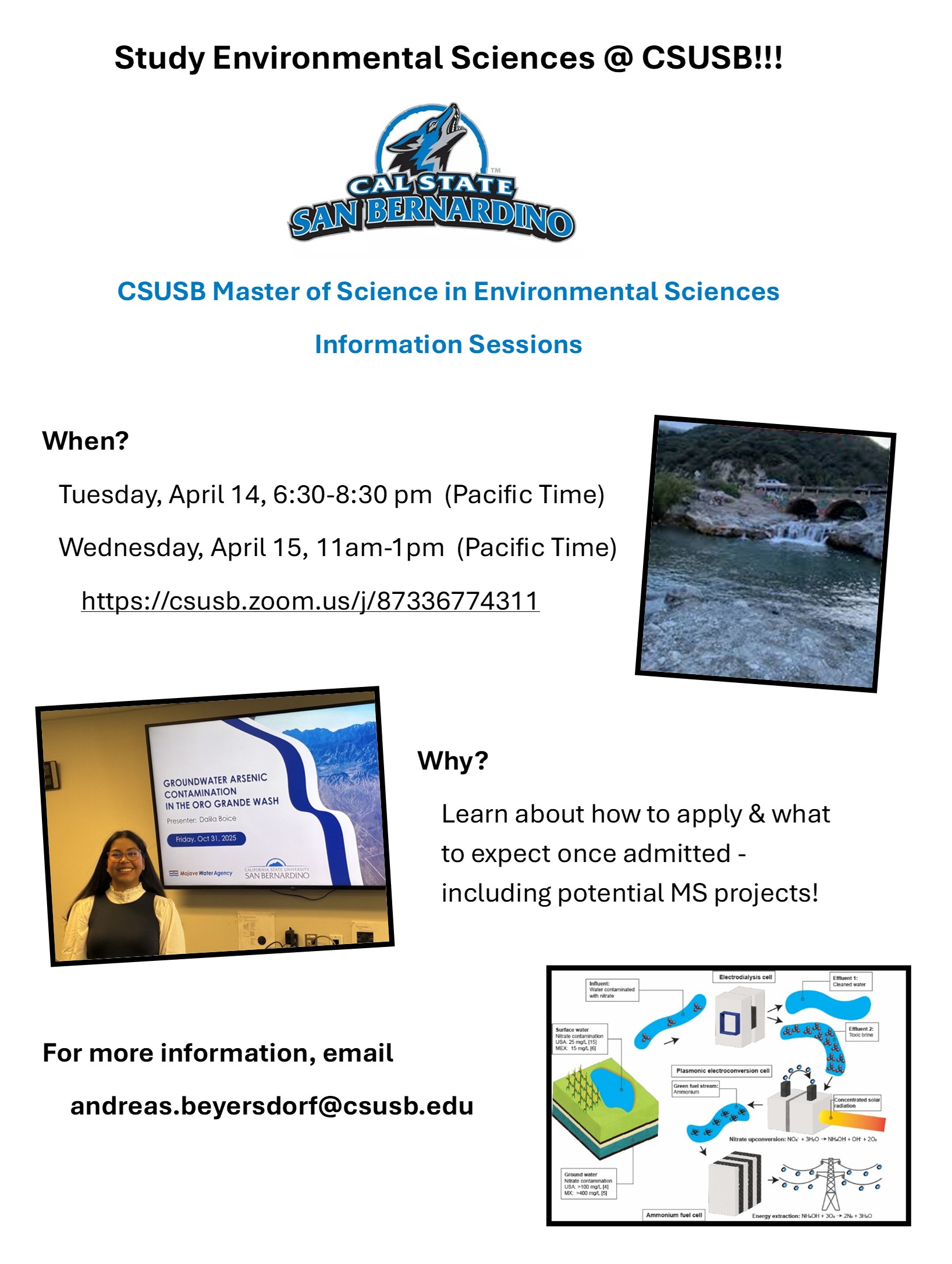MSES Info Session Overview
