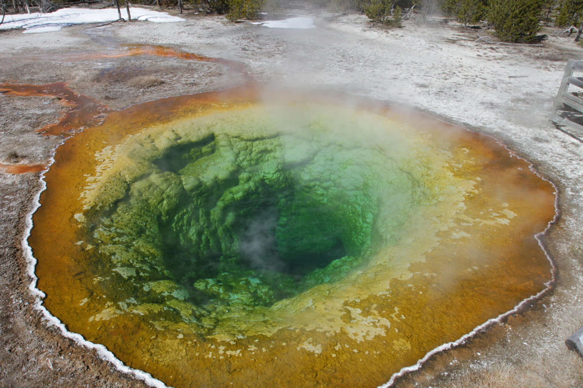 spring in yellowstone