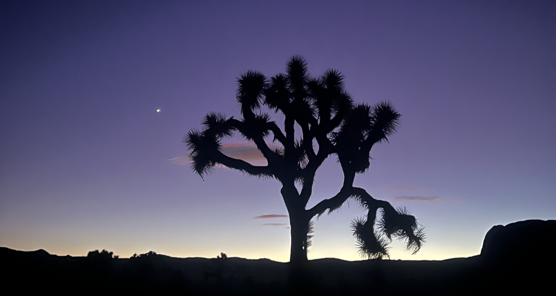 Venus at Sunset